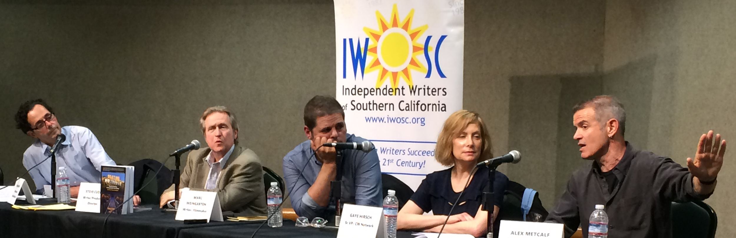 IWOSC panel on writing for TV